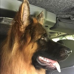 Meet your Posher, Tracy